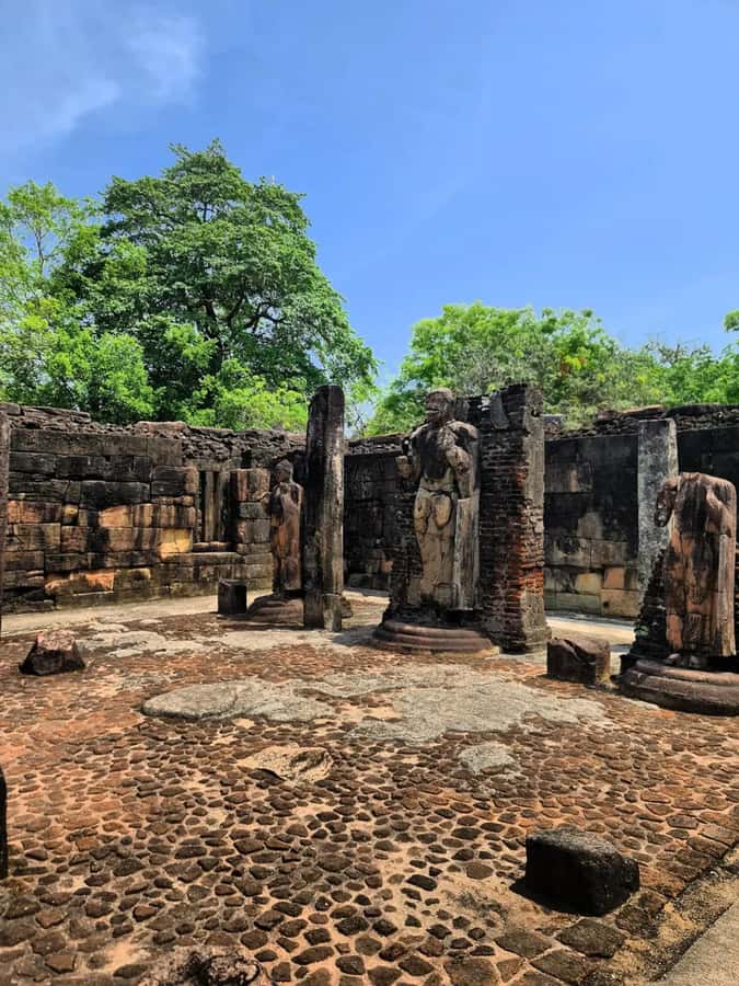 From Sigiriya :Polonnaruwa Ancient City Tour/Day Tour - What the Private Format Means in Practice
