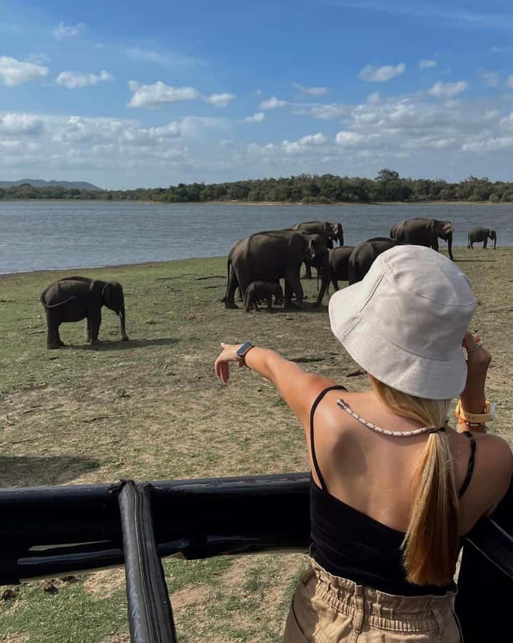 From Sigiriya :Polonnaruwa Ancient City Tour/Day Tour - Tips for Getting More from the Day