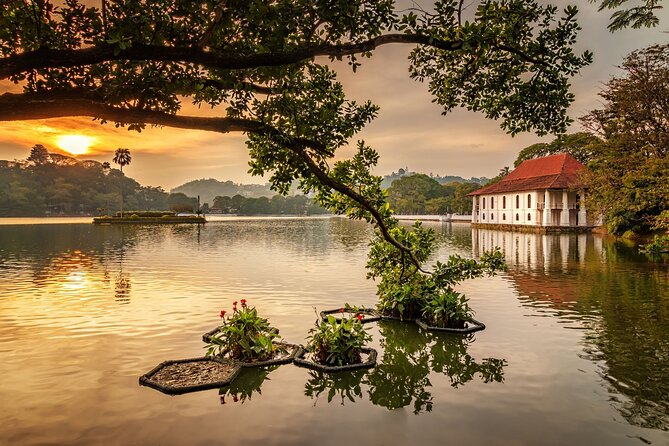 From Sigiriya to Kandy Transfer by Private Comfortable Car - A practical way to leave Sigiriya