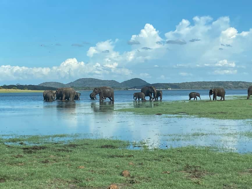 From Trincomalee: Minneriya National Park 4X4 Jeep Safari - What to bring and what is provided
