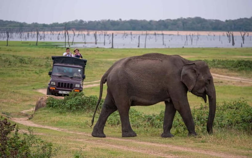 From Trincomalee: Village Tour & Minneriya Elephant Safari - Leaving Trincomalee for rural Sri Lanka