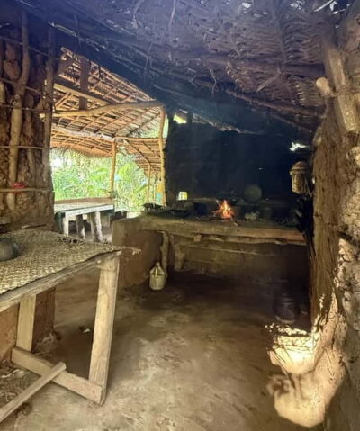 Village Tour & Minneriya Elephant Safari