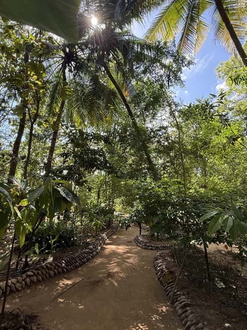 From Trincomalee: Village Tour & Minneriya Elephant Safari - Is $118 good value for a 12-hour day?