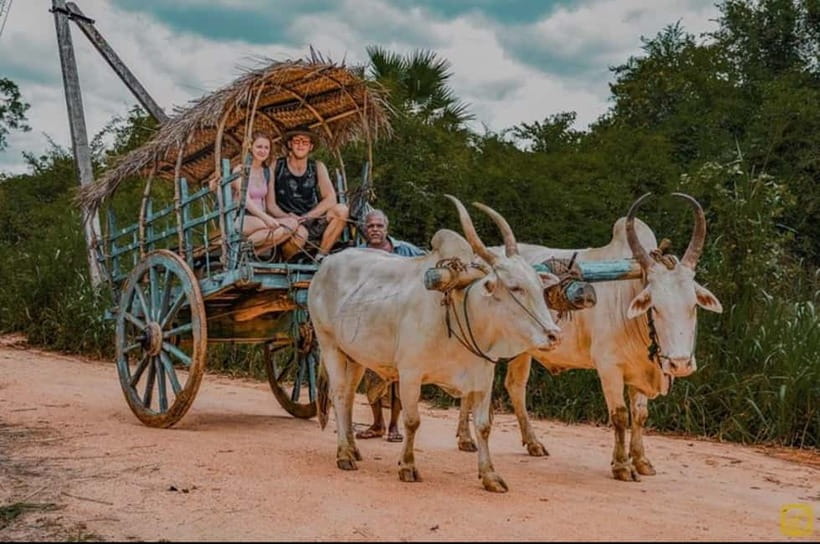 From Trincomalee: Village Tour & Minneriya Elephant Safari - Practical tips for a smoother day