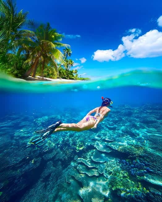 From Uppuveli Beach: Pigeon Island Snorkeling Tour - What the Pigeon Island trip is really like