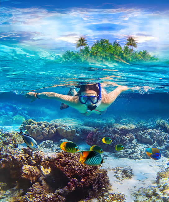 From Uppuveli Beach: Pigeon Island Snorkeling Tour - Reaching the marine park by small boat