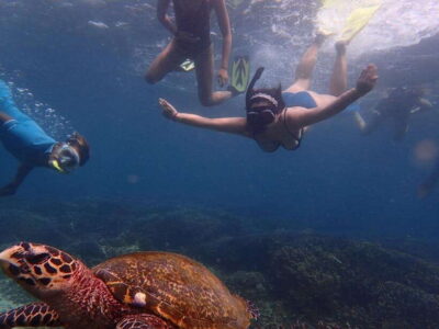 Pigeon Island Snorkeling Tour