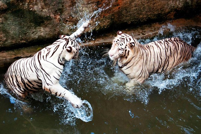 Full-Day Colombo City Tour (Private Car) - Dehiwala Zoo adds animals, but costs time