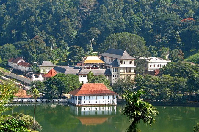 Full-Day Kandy Highlights Tour - Key points to know before booking