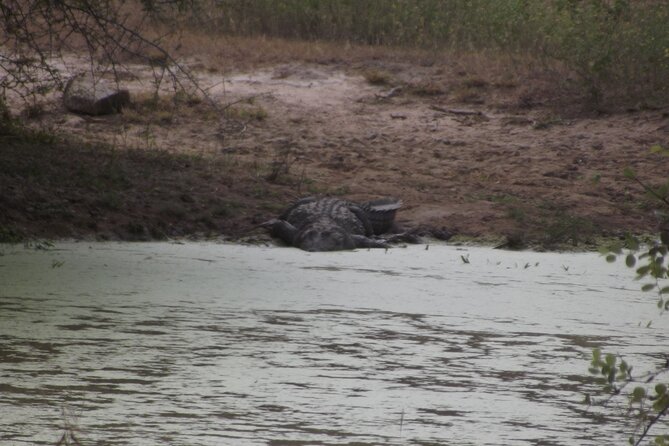 Full Day Safari Tour in Yala National Park - Food, drinks, and what the price covers