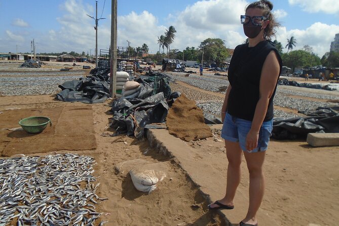 Fun and Scenic Negombo Tour by Tuk Tuk - The beach fish market is the tour’s most revealing stop