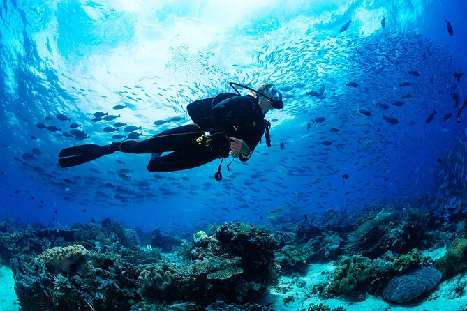 Fun Dives For Certified Divers - Key points to know before booking
