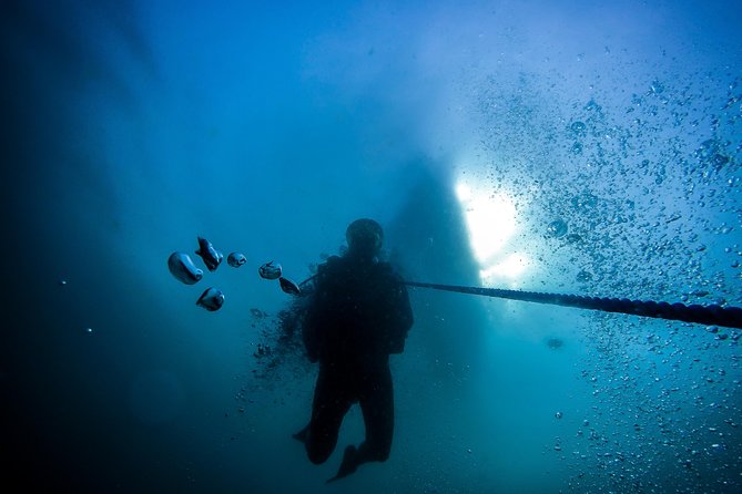 Fun Dives For Certified Divers - Sea conditions can change the character of the outing