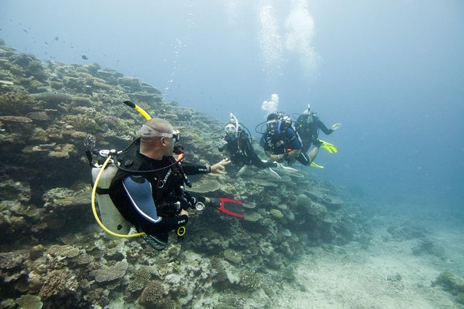 Fun Dives For Certified Divers - Marine life along Sri Lanka’s south coast