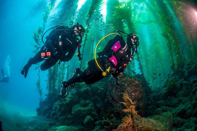 Fun Dives For Certified Divers - What the $48.15 price really covers