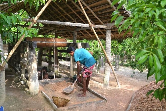 Galle Day Private Tour Beruwala/Bentota/Kosgoda/Ahungalla - Spices at the 777 Spice Garden