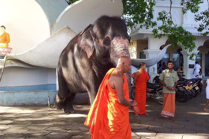 Galle Day Tour - Why this five-hour route works