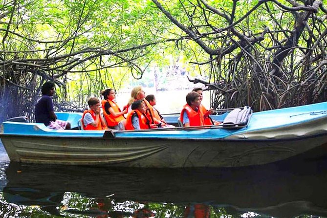 Galle Day Tour from Colombo or Negombo by Private Car , Van with Driver - Why a private car makes this southern coast trip practical