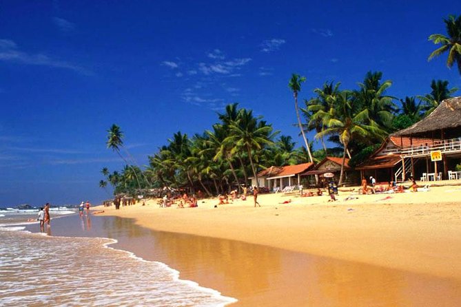 Galle Day Tour from Colombo or Negombo by Private Car , Van with Driver - What the $80 price really covers