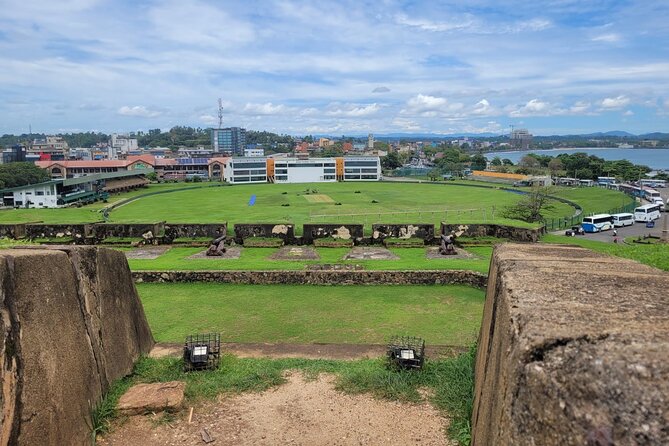 Galle Day Tour with River Safari, Tea Plantation & Sea Turtle - What to expect at Kosgoda’s turtle project