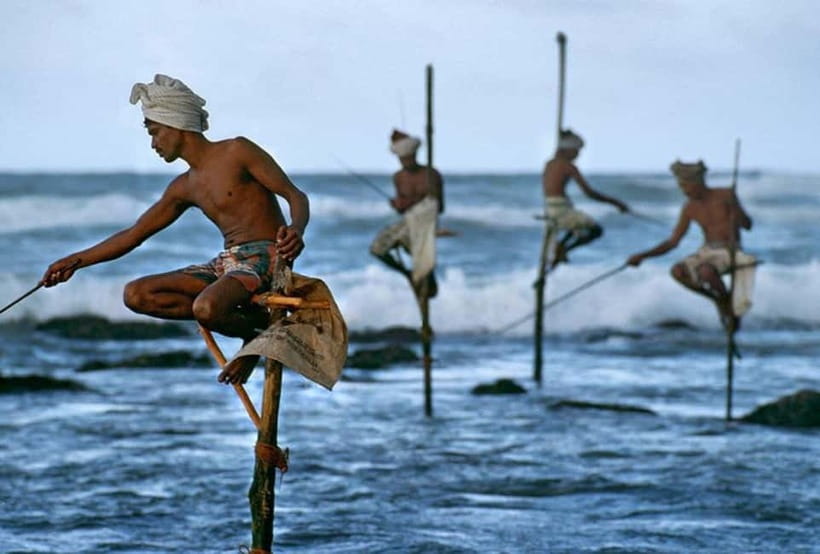 Galle Day Trip - River Safari, Sea Turtle & Stilt Fishermen - The Bentota River safari is the day’s strongest stop