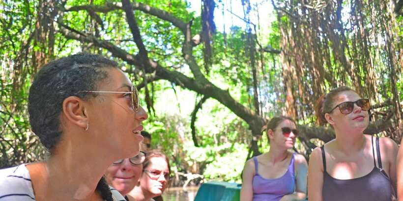 Galle Day Trip with River Safari, Sea Turtles & Tea Factory - Key points at a glance