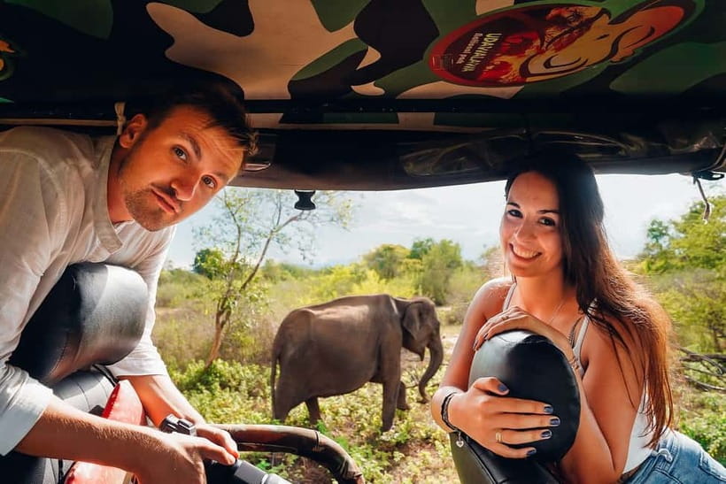 Galle/Mirissa/Hiriketiya: Drop to Ella & Udawalawa Safari - Key points to know before booking