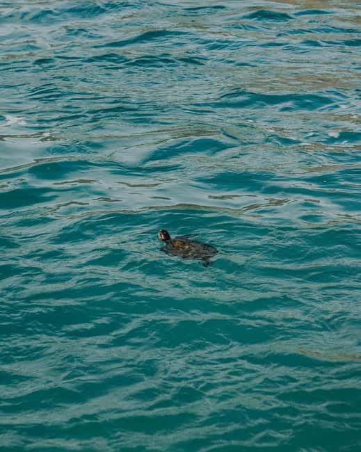 Galle Private Day Tours with Sea Turtles visit & Boat Safari - Galle Fort: two hours among old walls