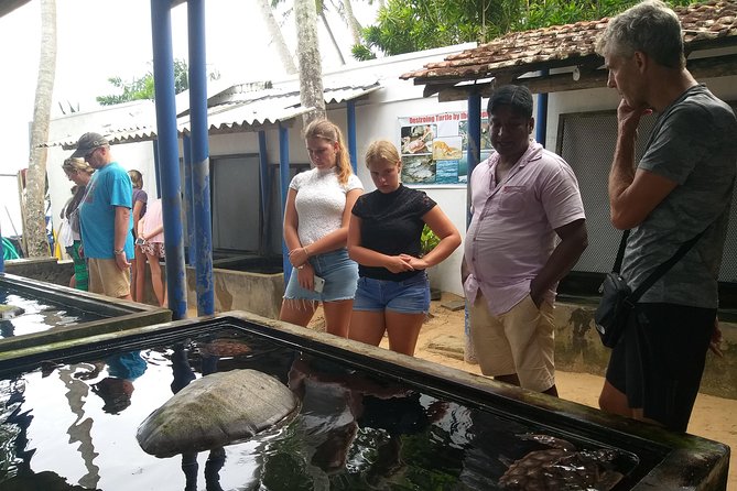 Galle sightseeing tour - A broad south-coast day for one private group