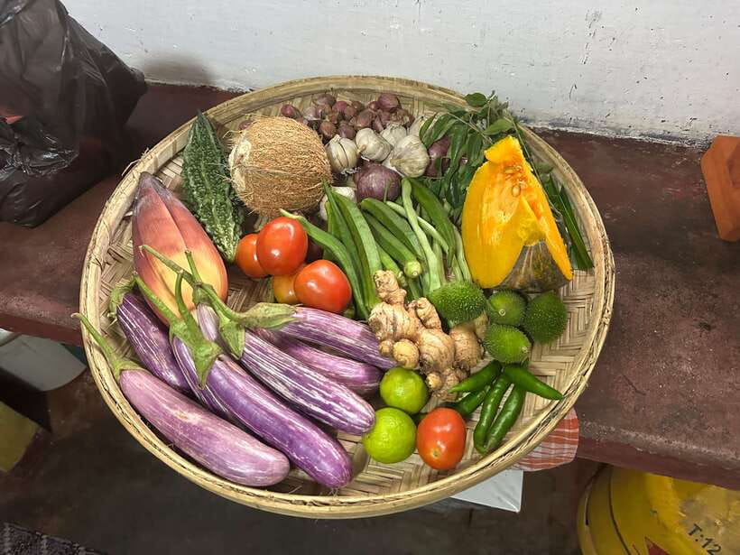 Galle: Traditional Sri Lankan Cooking Class - Practical planning for the day