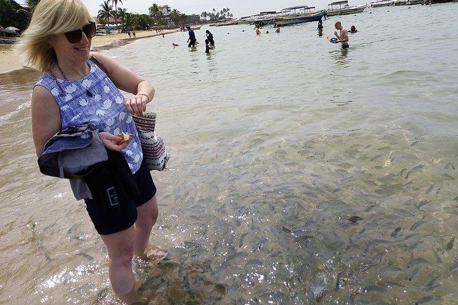 Glass Bottom Boat Tour and Snorkeling Hikkaduwa - Is $19 a fair price?