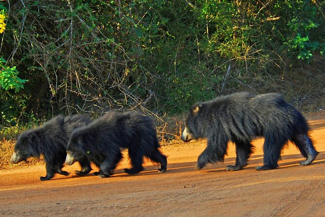 GO WILD! Double Safari Day Trip (Yala & Udawalawe) - Private & All Inclusive - Udawalawe’s open country and elephant sightings