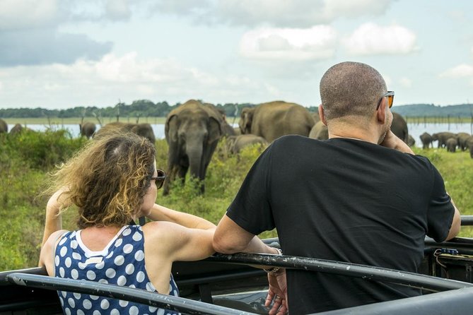 GO WILD! Double Safari Day Trip (Yala & Udawalawe) - Private & All Inclusive - What the $280 price really covers