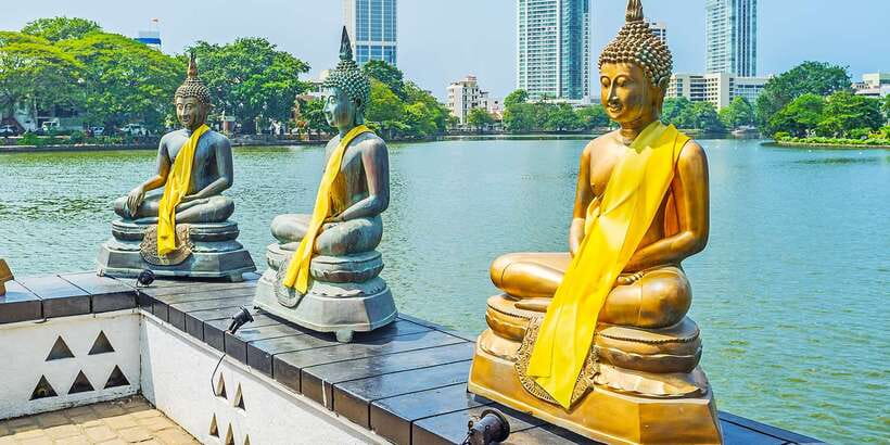 Guided Colombo Half-Day City Tour - BMICH, a quick architectural stop