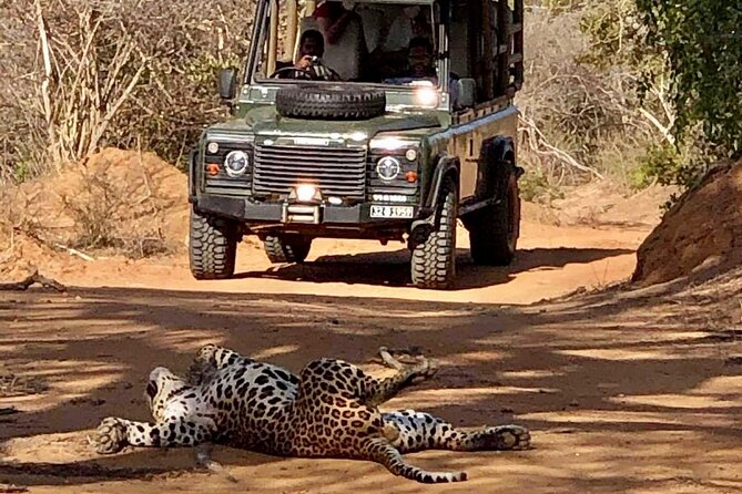Guided Leopard Safari in Yala National Park in a Land Rover Defender - Four to six hours of watching, waiting, and moving