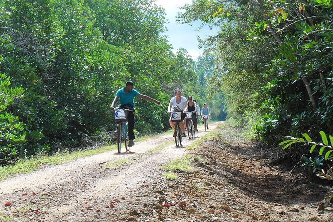 Half-Day Lagoon and Village Cycling Tour in Galle - A quiet ride beyond Galle’s main sights
