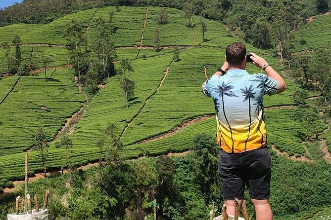 Half-Day Private Trip to Waterfalls and Tea Factory - Three waterfalls, with two close-up options