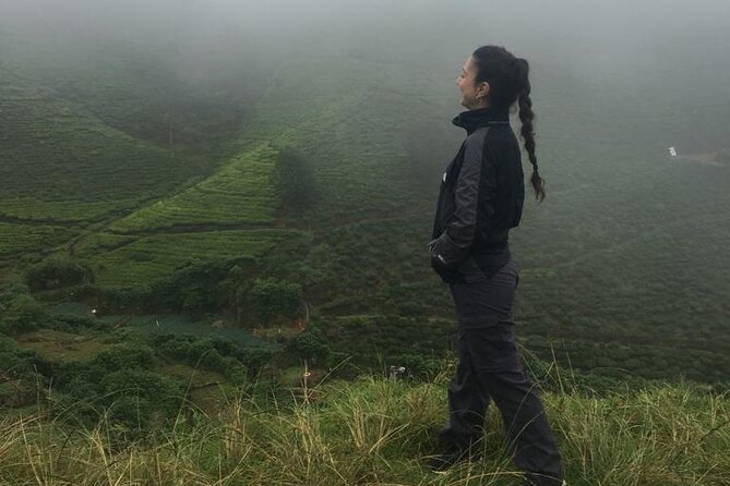Half-Day Private Trip to Waterfalls and Tea Factory - The private guide makes the difference