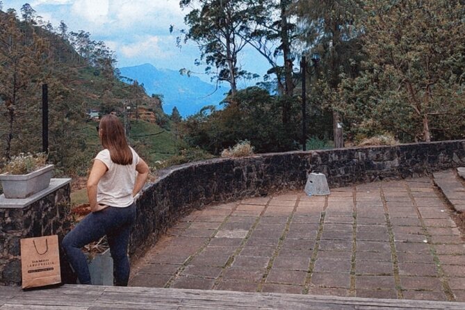 Half-Day Private Trip to Waterfalls and Tea Factory - What $25 gets you