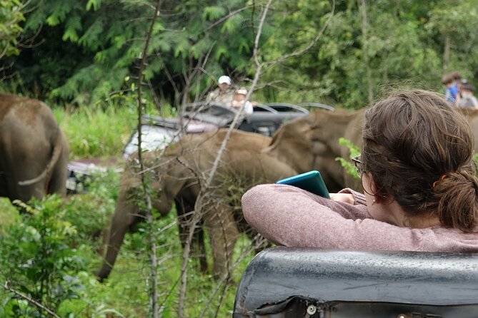 Half Day Safari Guided Tour - Udawalawe and the Elephant Transit Home