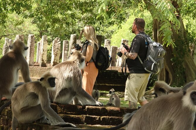 Half Day Safari Guided Tour - The route problem is worth taking seriously