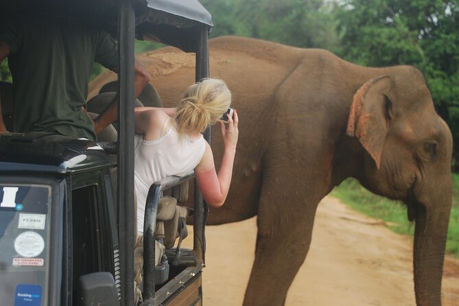 Half Day Safari Guided Tour - Yala National Park and the leopard question
