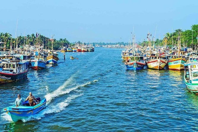 Half Day Tour to Muthurajawela, Lagoon, Dutch Canal and Mangroves - Muthurajawela Marsh and the mangroves