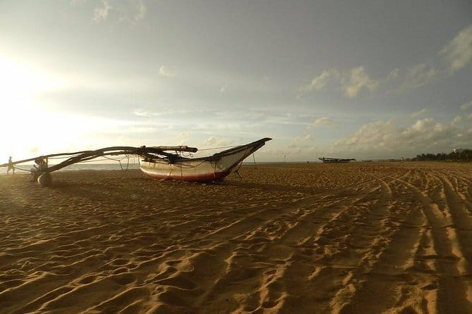 Half Day Tour to Muthurajawela, Lagoon, Dutch Canal and Mangroves - Tuk tuk pickup and what is included