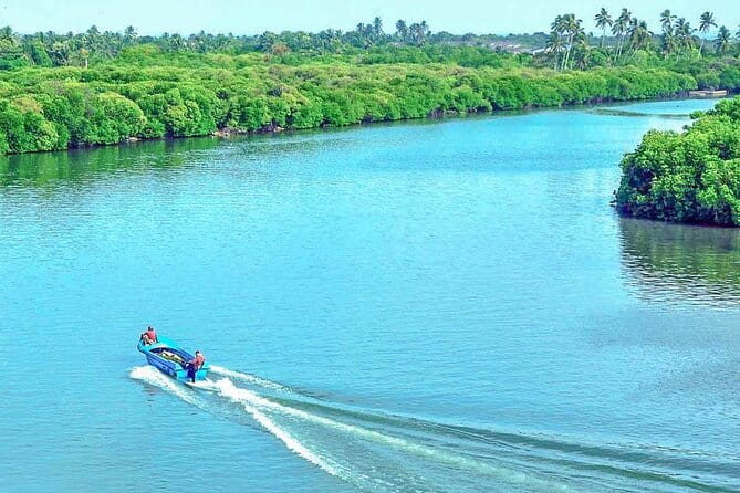 Half Day Tour to Muthurajawela, Lagoon, Dutch Canal and Mangroves - Negombo Lagoon and the working waterfront