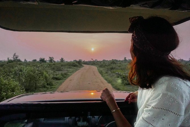 Half Day Udawalawe Safari (Entrance + Lunch) - The 6:00 am pickup from Galle or Mirissa