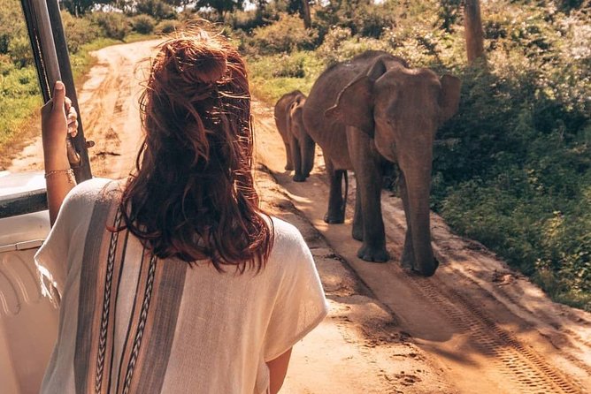 Half Day Udawalawe Safari (Entrance + Lunch) - Lunch after the park