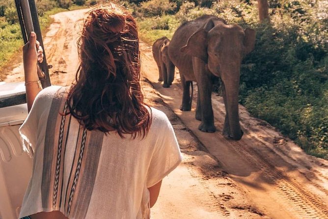 Half Day Udawalawe Safari from Kalutara (Entrance + Lunch) - The long road from Kalutara to Udawalawe