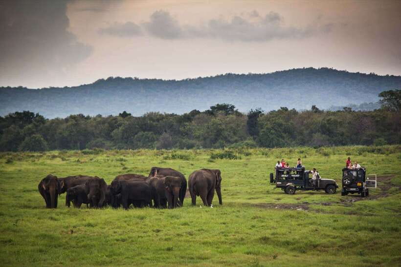 Hambantota Port: Udawalawe Safari Tour & Transit Home Visit - How to handle a short port day