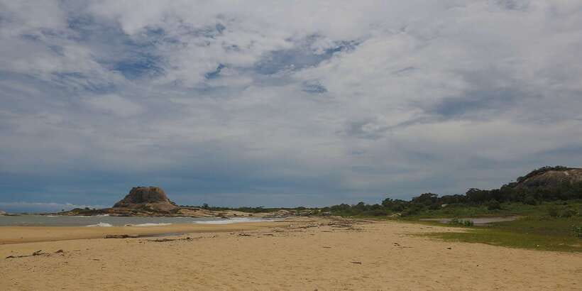 Hambantota: Yala National Park Wildlife Safari in a 4x4 - Elephants, crocodiles, and the rest of the cast